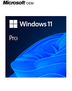 Sistema Operativo Microsoft Windows 11 Pro 64-bit Spanish LATAM OEM DVD